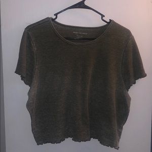 Green Lettuce Cut Top